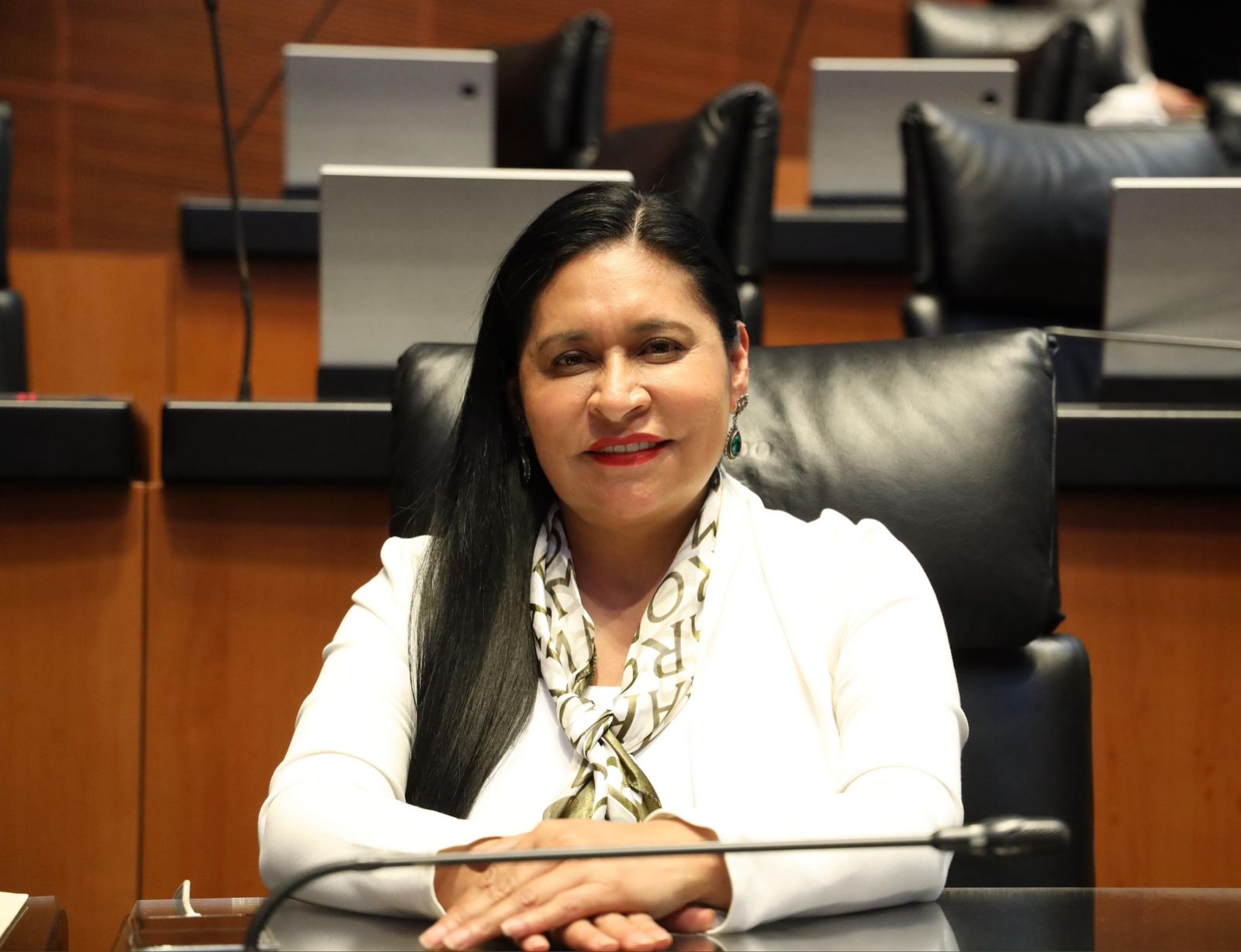 Cooperación con EUA sí, pero sin vulnerar la soberanía de México: Ana Lilia Rivera